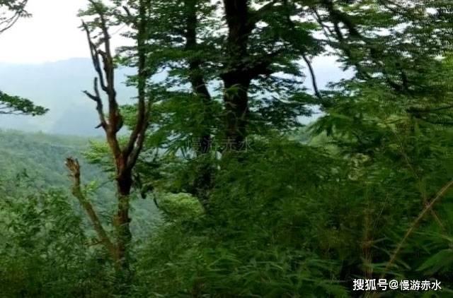 镜之边缘